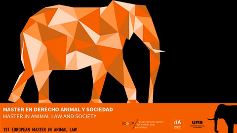 Master En Derecho Animal Y Sociedad Facultat De Dret Uab Barcelona