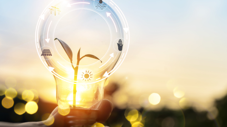 Bombeta amb un brot d'una planta a dins