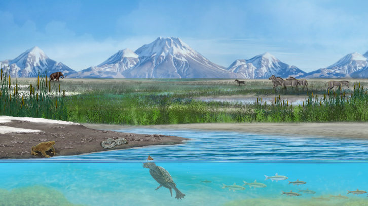 Recreació de la vida de la flora i fauna més rellevants del jaciment del Plistocè Inferior de la Pe