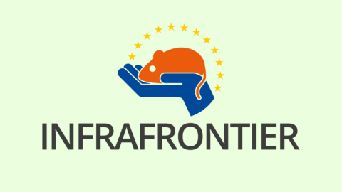 Logotipo de INFRAFRONTIER