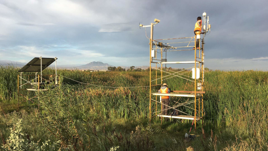 Científics treballant a una zona humida