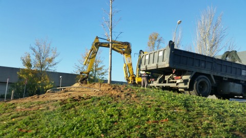 Imatge noticia plantació arbres al campus