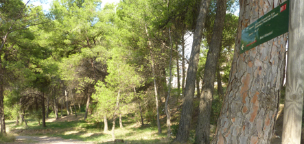 Mapa dels itineraris de natura - UAB Environment - UAB Barcelona