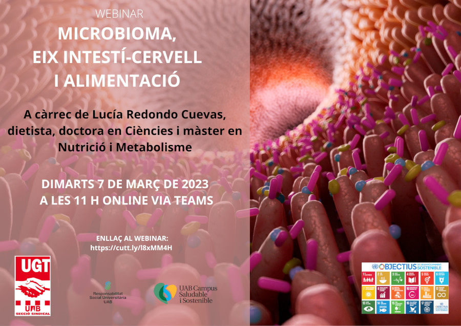 Seminari en línia sobre la salut intestinal i la seva relació amb l'estat d'ànim: «Microbioma, eix intestí-cervell i alimentació»