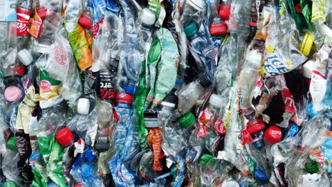 Reciclatge d'ampolles de plàstic