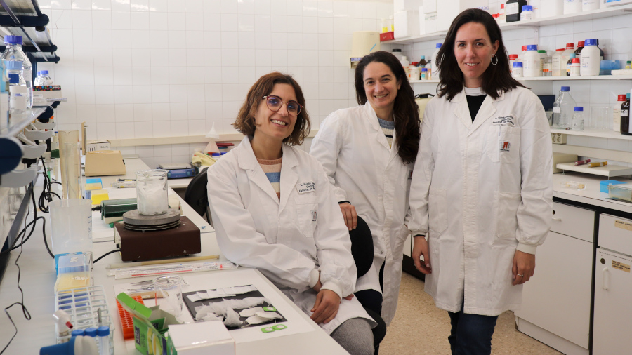 Laura Rubio, Jéssica Arribas i Alba García al laboratori de la UAB