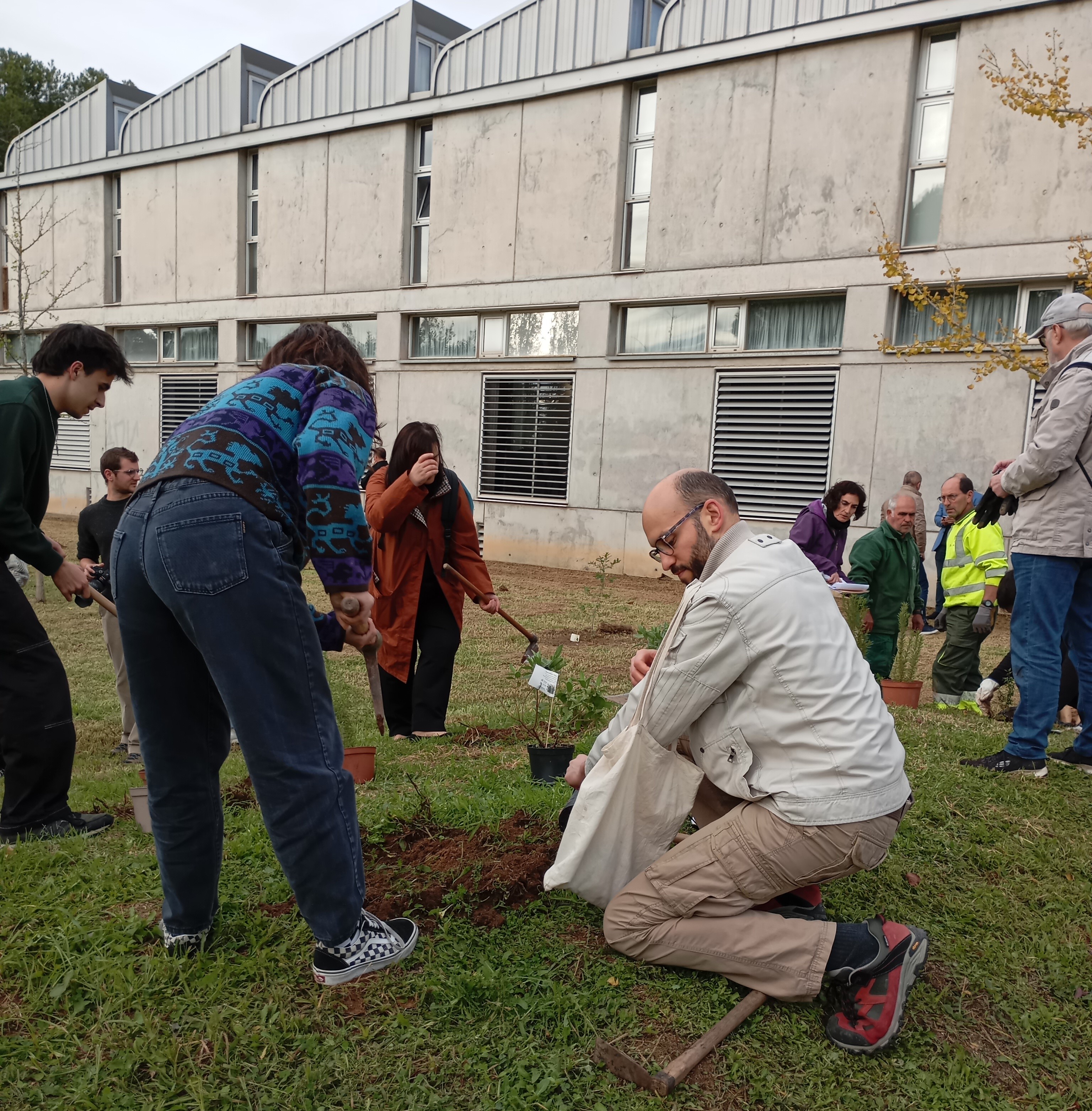 Fotografia de la plantada d'arpres a la plaça del Coneixement