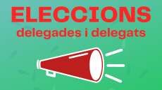 Eleccions d'elCens curs 2024-25