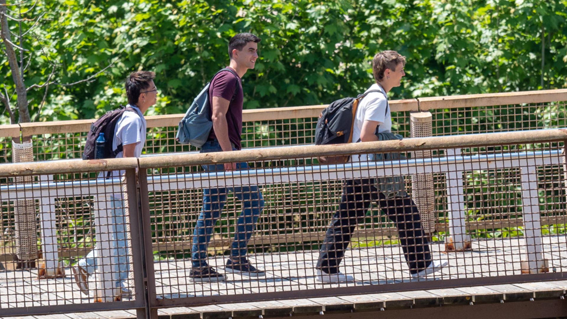 Imatge d'estudiants passejant pel camp