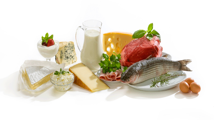Representació de aliments