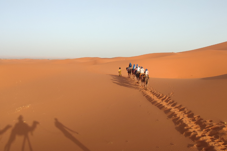 Caravana de camells creuant les dunes del desert sota un cel clar, amb ombres projectades a la sorra.