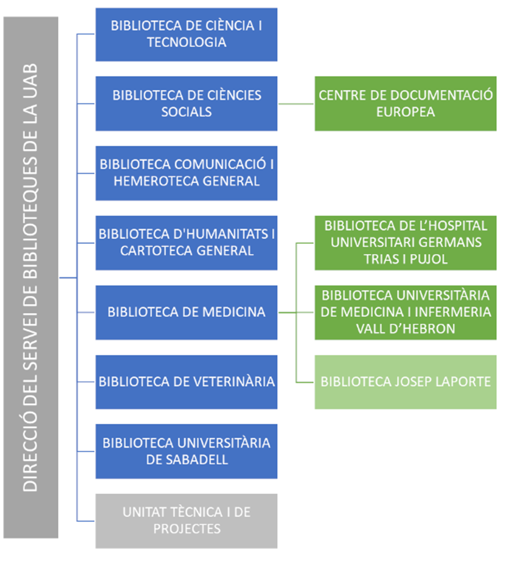 Diagrama organitzatiu del Servei de Biblioteques UAB