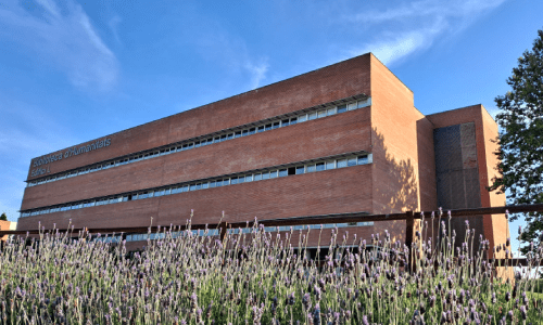 Foto de la Biblioteca d'Fumanitats de la Universitat Autònoma de Barcelona