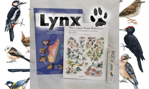 Imatge Fons Lynx