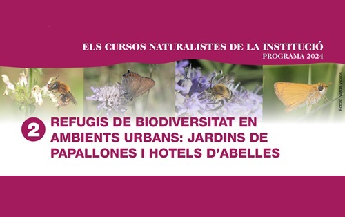 Curs Refugis de Biodiversitat en Ambients Urbans ICHN