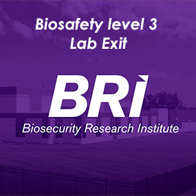 Reprodueix el video BSL3 Lab Exit