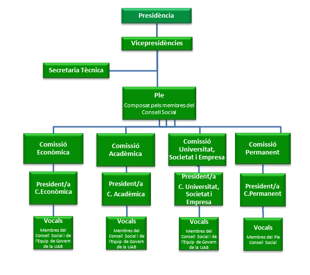 Esquema de l'estructura del consell social de la UAB