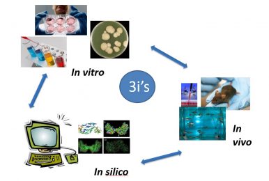 Investigació in vitro, in vivo i in silico.