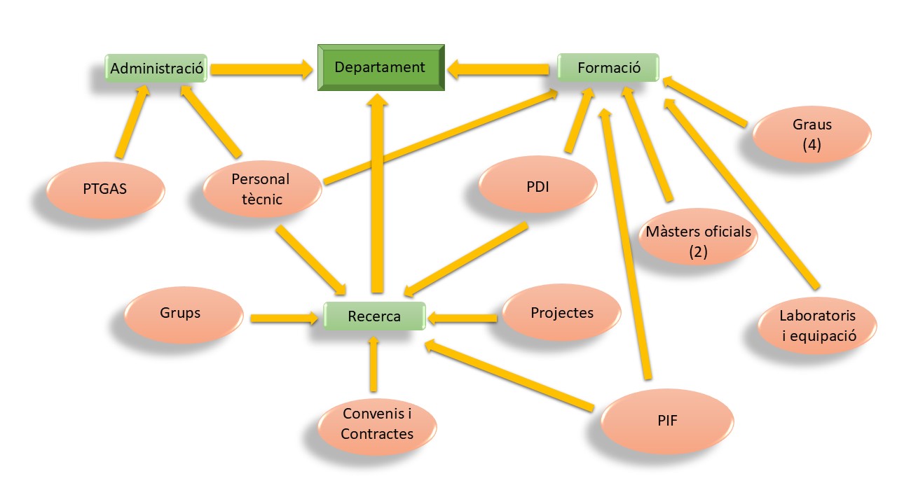 Organigrama xifres del departament