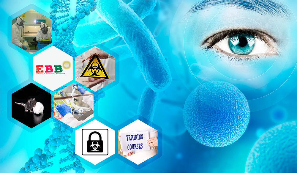 Strategies in Biosafety and Biocontainment