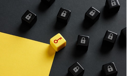 Image of a group of black dice with a closed padlock icon and a single yellow dice with a key