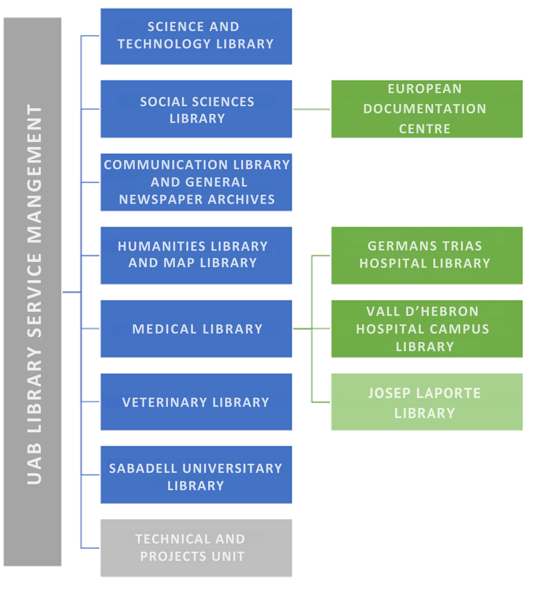 Diagrama organitzatiu del Servei de Biblioteques UAB