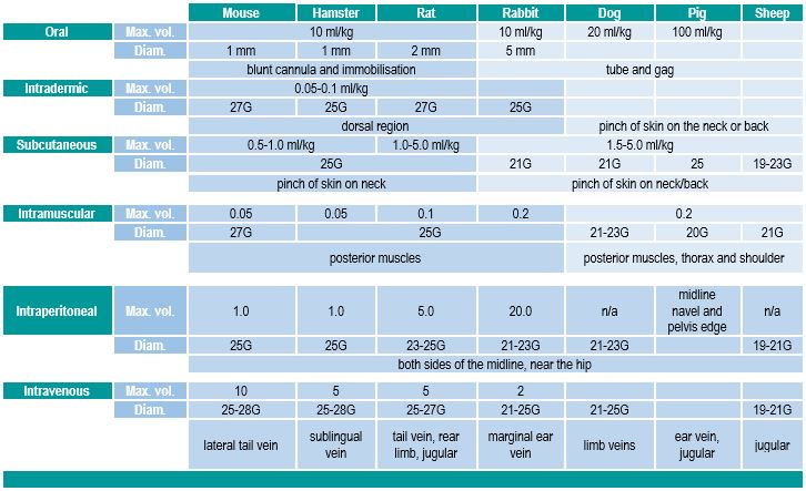 Recommended volumes and sites depending on the administration route and the animal species