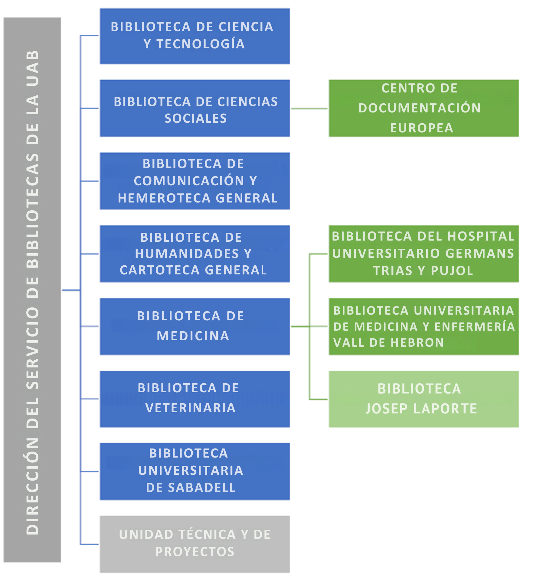 Diagrama organitzatiu del Servei de Biblioteques UAB