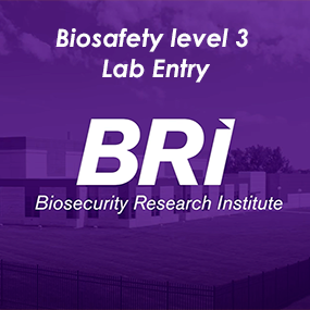 Reproduce el vídeo BSL3 Lab Entry