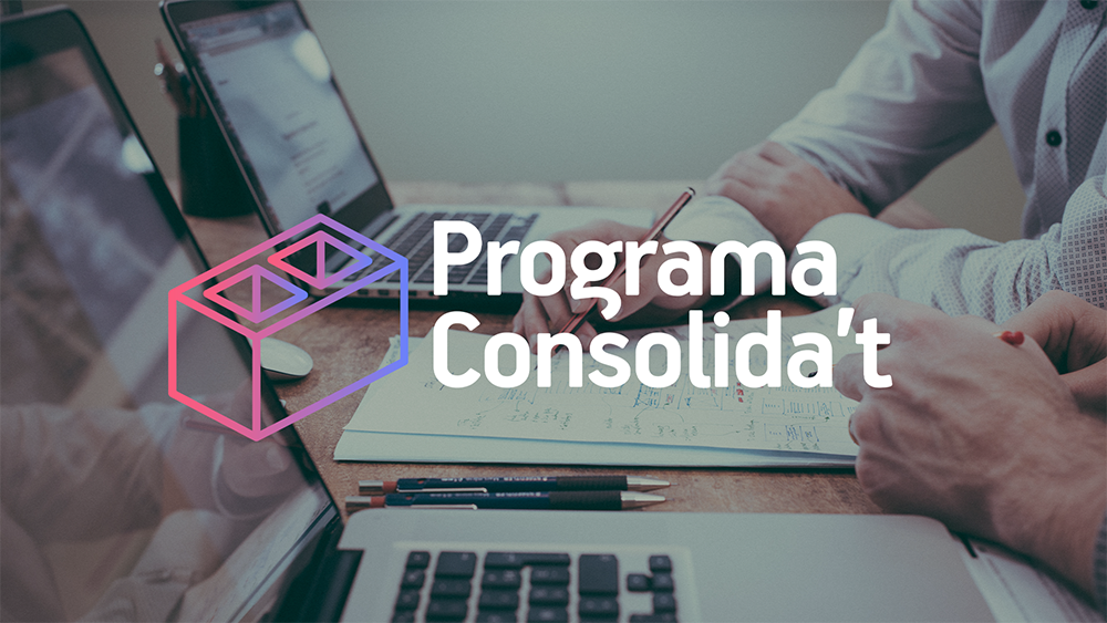 Programa Consolida't