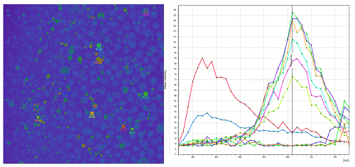 Caracteritzación de espectros de emissión