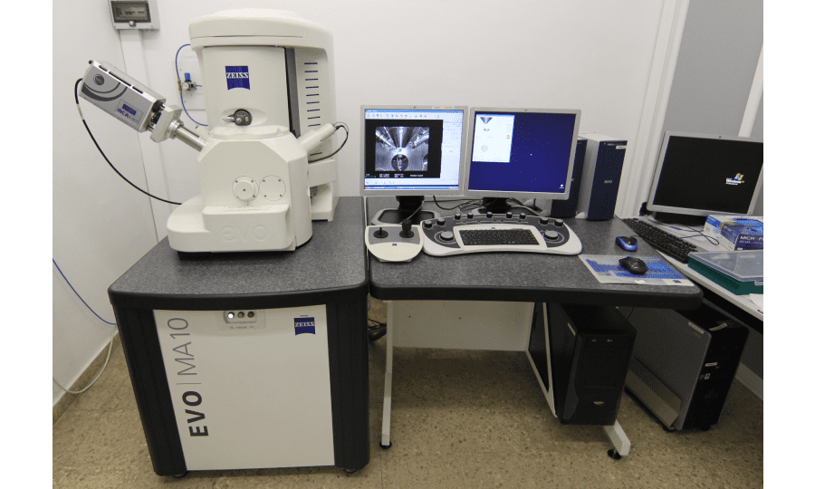 SEM ZEISS EVO MA 10